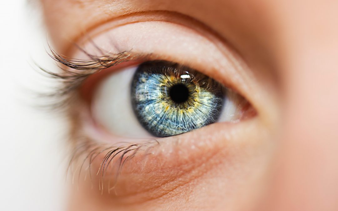 Das Auge isst mit